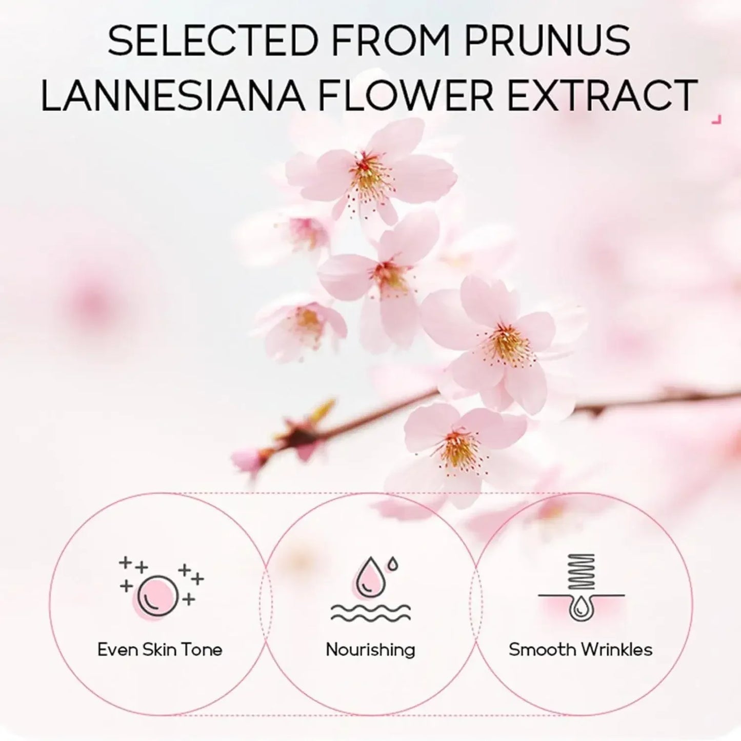 Sakura Radiance 24pcs Full Face Care Kit